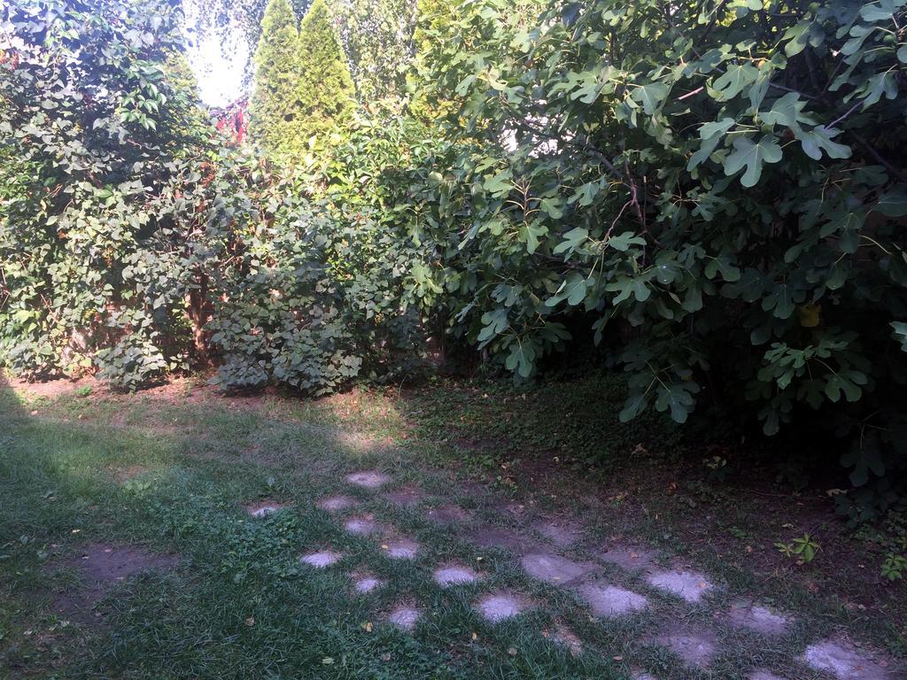 Rosmarinus Apartman Pécs Eksteriør billede